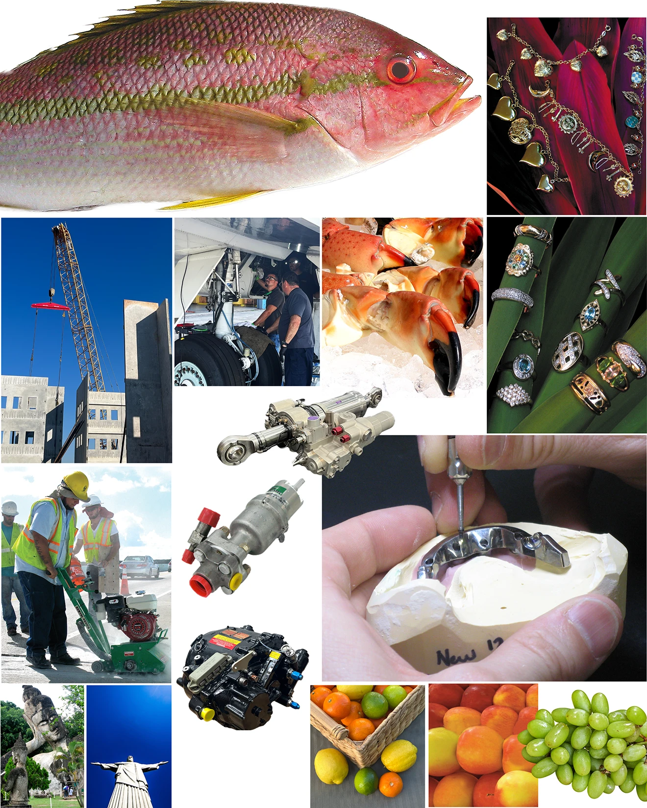 Collection of photos and videos made for Miami-based companies.