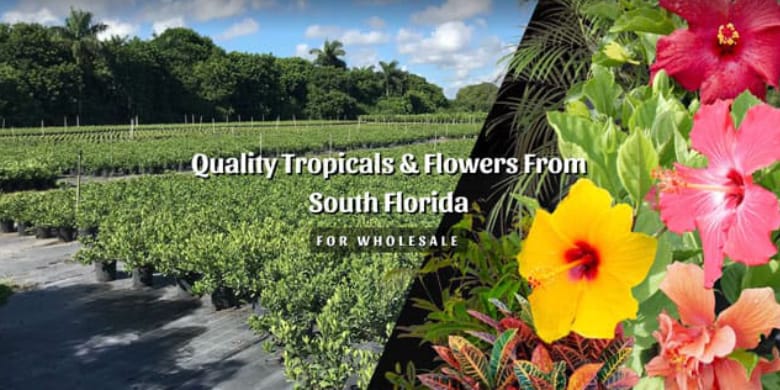 J & R Flower farm